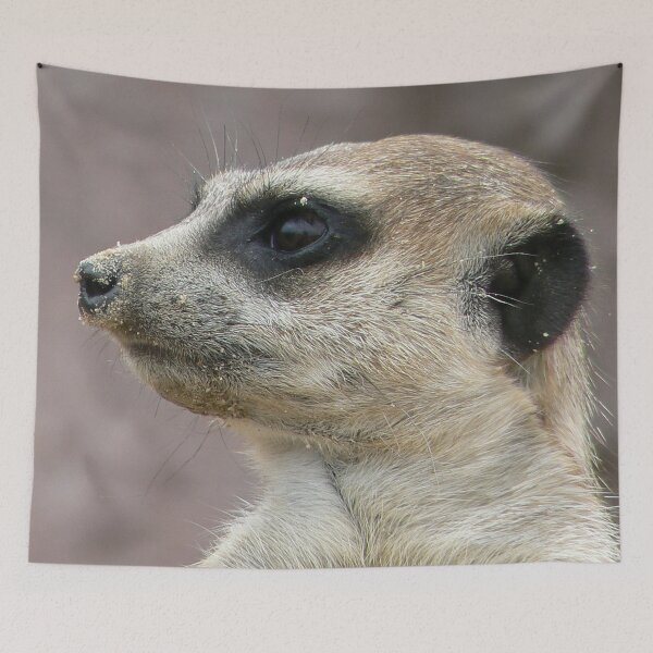Item preview, Meercat designed and sold by WonderBubbles.