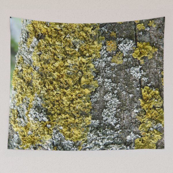 Item preview, Moss designed and sold by WonderBubbles.