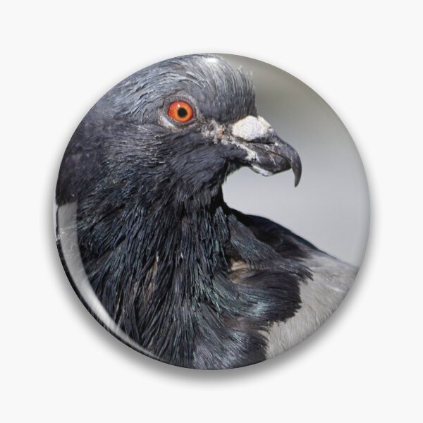 Item preview, Pigeon Perching designed and sold by couragesings.