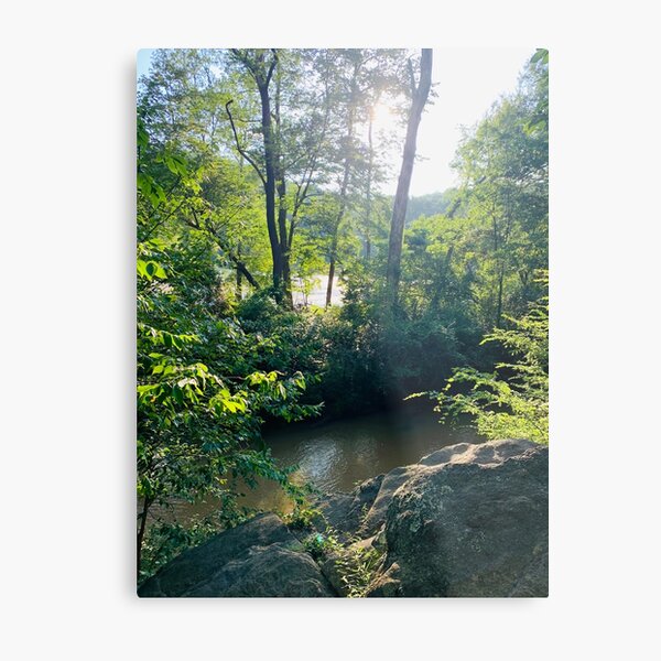 An outdoors adventure of fun Metal Print