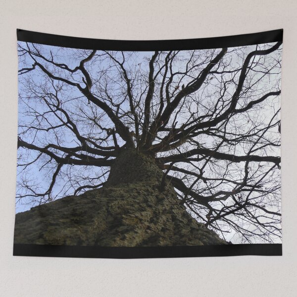 Item preview, Tree perspective designed and sold by WonderBubbles.