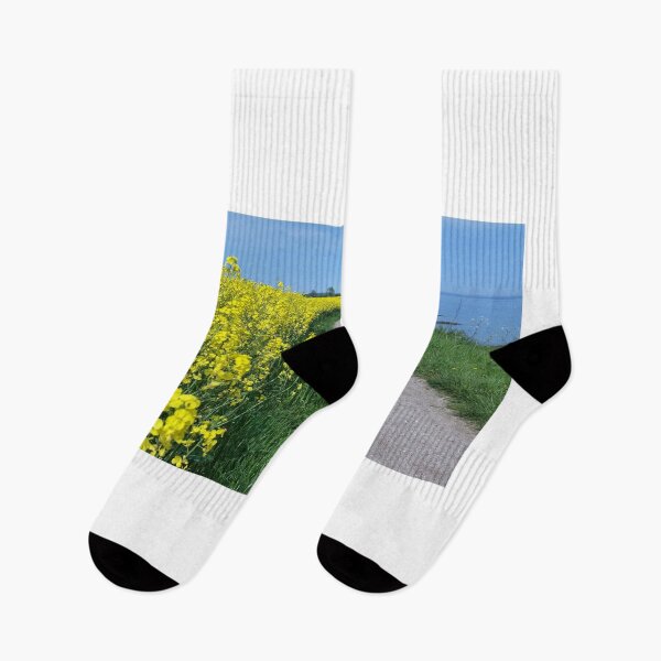 Item preview, Rapeseed blossom on the Baltic Sea designed and sold by fraukah.