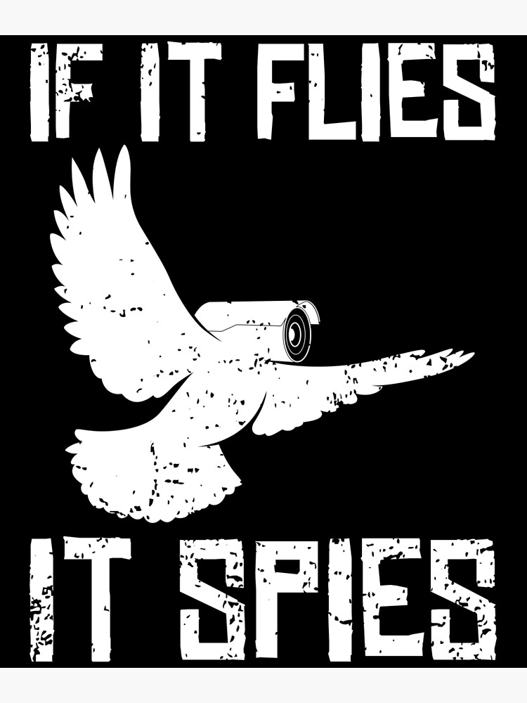 If It Flies It Spies Conspiracy Theory Birds Aren't Real print Poster for  Sale by jakehughes2015