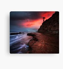 South Arm, Tasmania Canvas Print