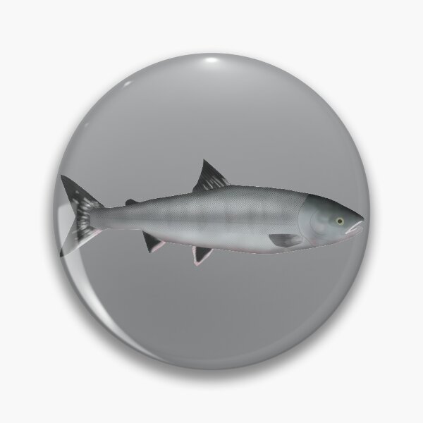 Item preview, Chum (Dog) Salmon - Ocean Phase designed and sold by fishfolkart.