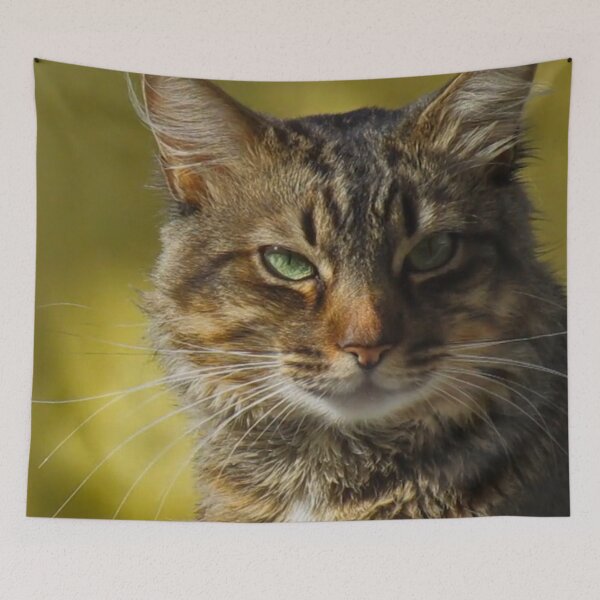 Item preview, cute serious cat designed and sold by ahmadshalqeh.