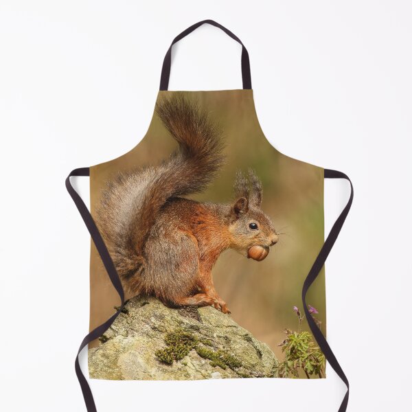 Item preview, Red Squirrel, Scottish Borders designed and sold by yourscotborders.