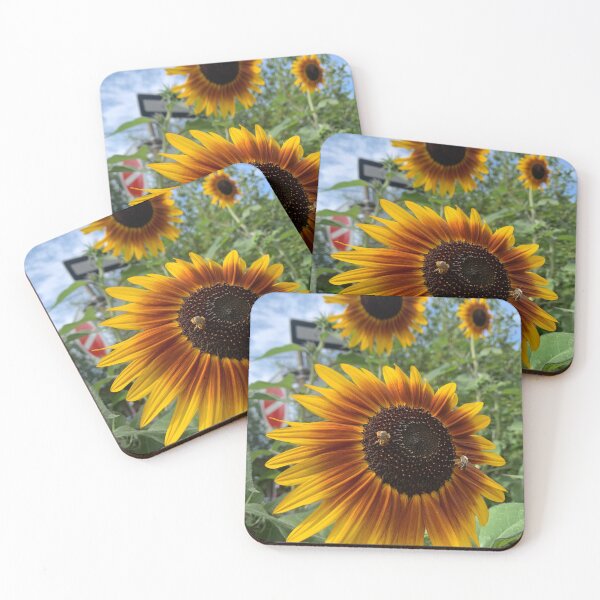 Item preview, Sunflowers on the Danforth designed and sold by Tara  Baxendale.