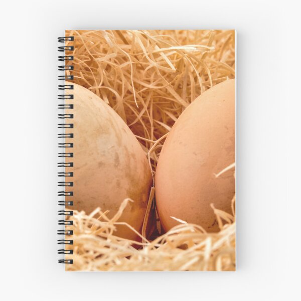 Item preview, Eggs in a straw nest designed and sold by troianifabrizio.