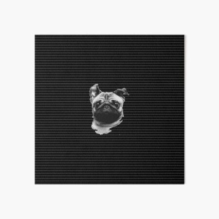 Louis Pug Face Luxury Dog Attire Pattern Face Socks