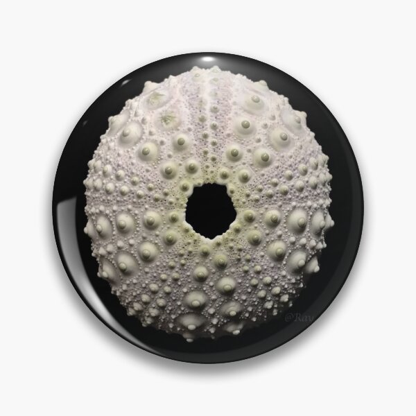 Item preview, Echinometra lucunter designed and sold by MotherOfUrchins.