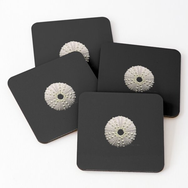 Item preview, Echinometra lucunter designed and sold by MotherOfUrchins.