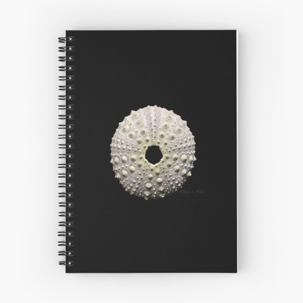 Item preview, Echinometra lucunter designed and sold by MotherOfUrchins.