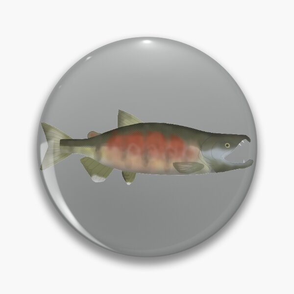 Item preview, Chum (Dog) Salmon - Spawning Phase designed and sold by fishfolkart.