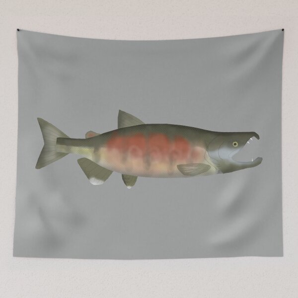 Item preview, Chum (Dog) Salmon - Spawning Phase designed and sold by fishfolkart.