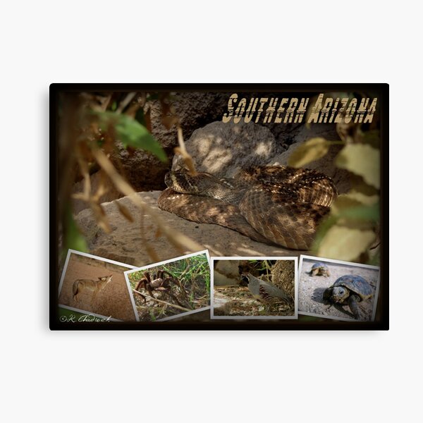 Item preview, Southern AZ Critters designed and sold by Luck of the Shutter.