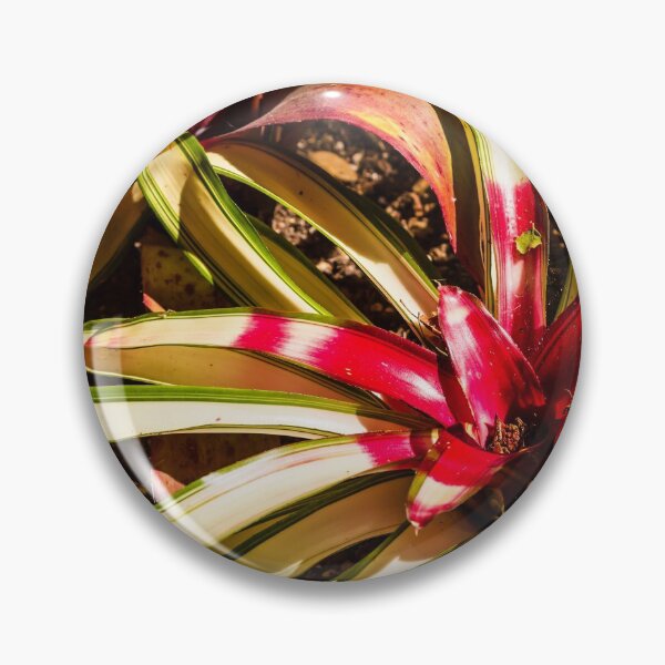 Item preview, Colorful Bromeliad designed and sold by Thaddeus Zajdowicz.