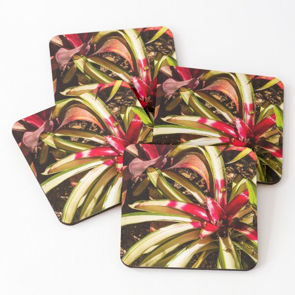 Item preview, Colorful Bromeliad designed and sold by Thaddeus Zajdowicz.