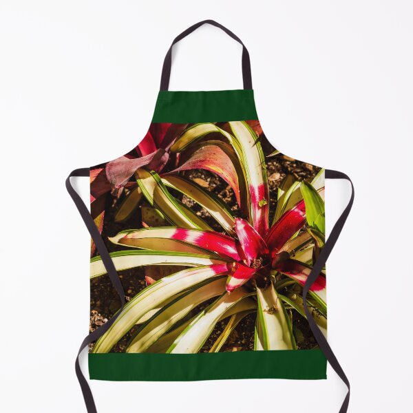 Item preview, Colorful Bromeliad designed and sold by Thaddeus Zajdowicz.