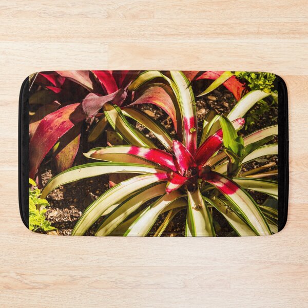 Item preview, Colorful Bromeliad designed and sold by Thaddeus Zajdowicz.