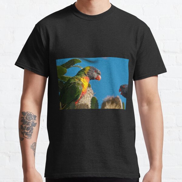Lorikeet conversation, Clovelly, Sydney Classic T-Shirt