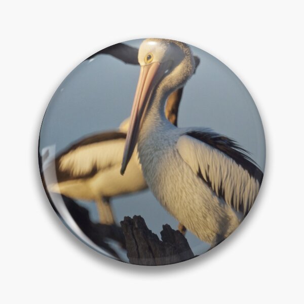 Item preview, Roosted designed and sold by D-GaP.