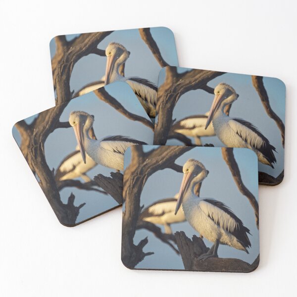 Item preview, Roosted designed and sold by D-GaP.