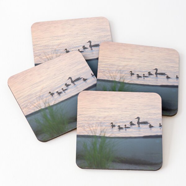Item preview, Canoe Ducks designed and sold by JC-Photography.