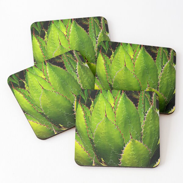 Item preview, Succulent designed and sold by Thaddeus Zajdowicz.