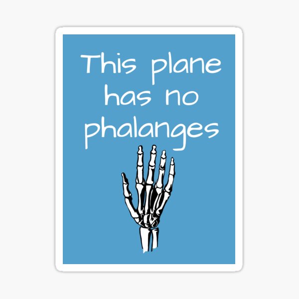 Omg This Plane Has No Phalanges Sticker For Sale By Inkthinkart Redbubble