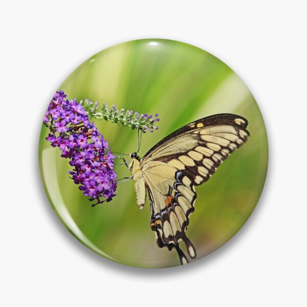 Item preview, Giant Swallowtail On Butterfly Bush designed and sold by Deb Oppermann.