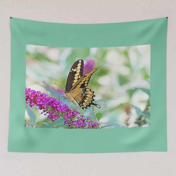Item preview, Giant Swallowtail On Buddleia designed and sold by Deb Oppermann.