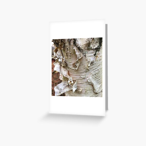 Peeling Bark Greeting Card