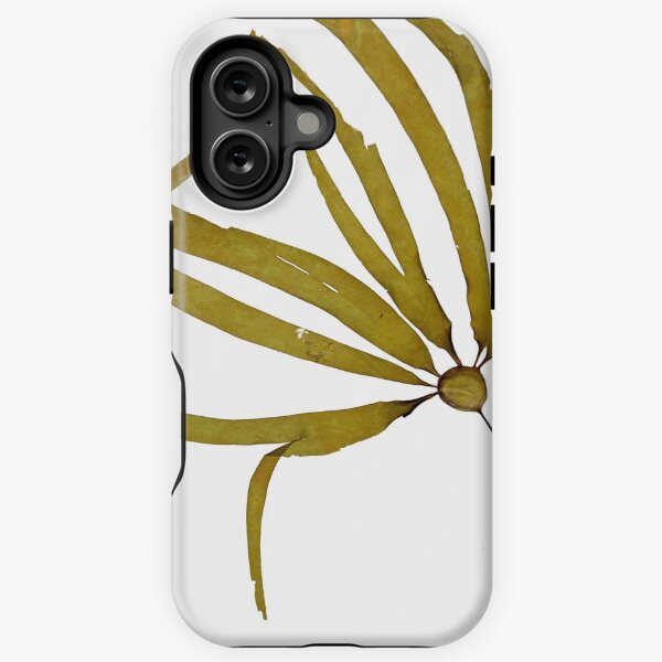 Item preview, Bull Kelp seaweed designed and sold by phykos.