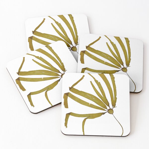 Item preview, Bull Kelp seaweed designed and sold by phykos.