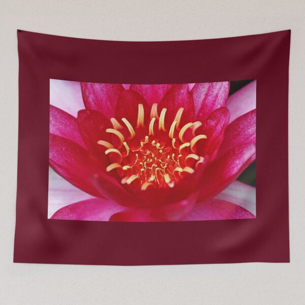 Item preview, Burgundy Princess designed and sold by Deb Oppermann.
