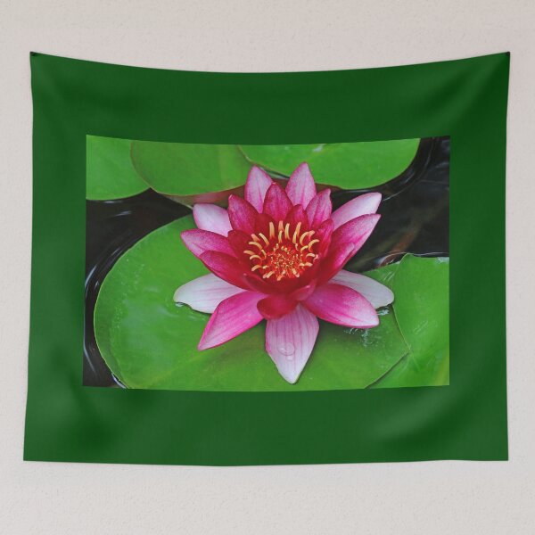 Item preview, Burgundy Red Princess designed and sold by Deb Oppermann.