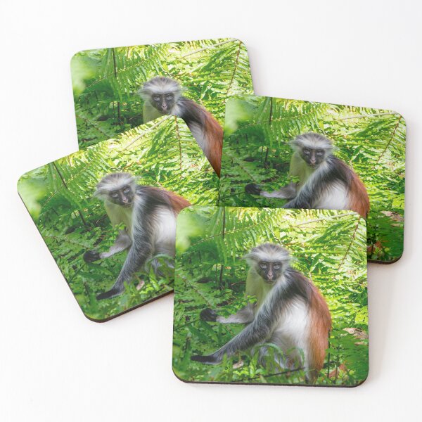 Item preview, Red Colobus Monkey of Zanzibar Island, Tanzania designed and sold by SafariByMarisa.