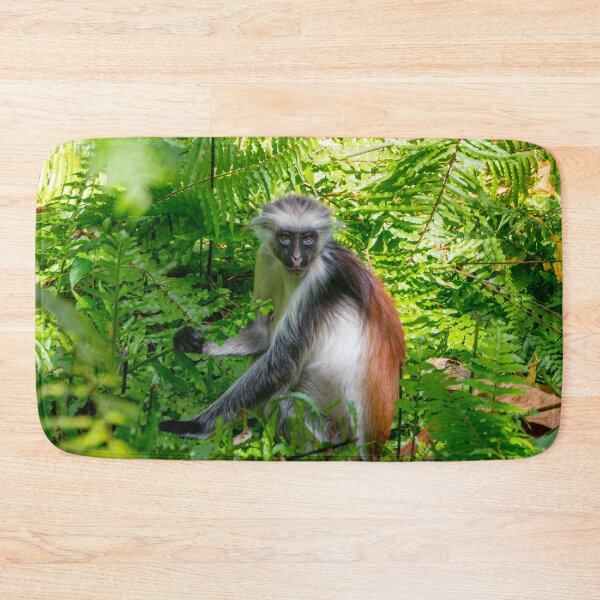 Item preview, Red Colobus Monkey of Zanzibar Island, Tanzania designed and sold by SafariByMarisa.