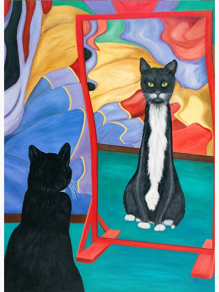 Tuxedo cat looking at skinny reflection in a fun house mirror. Cat stretched canvas wall art 30