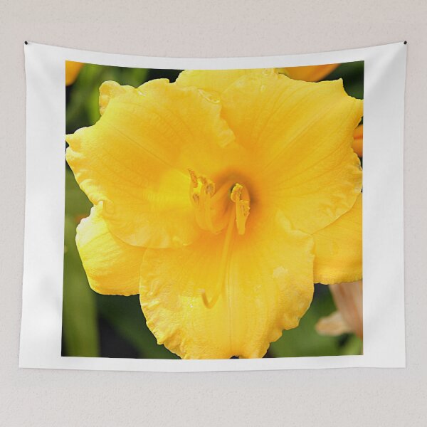 Item preview, Yellow Day Lily designed and sold by Jean Macaluso Fine Art.