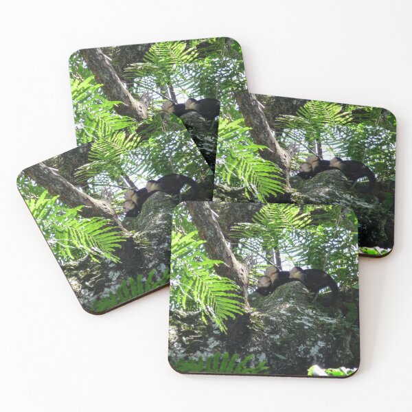 Item preview, White Faced Capuchin Monkeys in Costa Rica designed and sold by RosieRiggs.