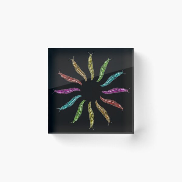 Item preview, Limax Slug Sun Rainbow designed and sold by UroliteArt.
