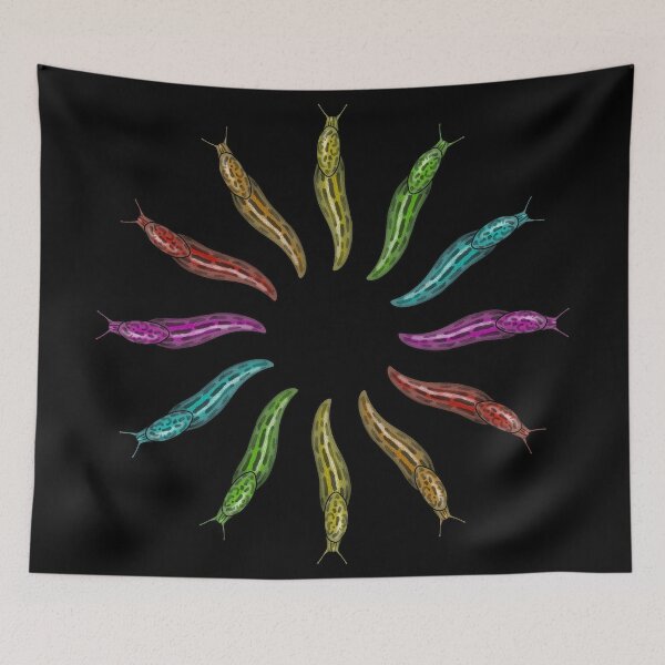 Item preview, Limax Slug Sun Rainbow designed and sold by UroliteArt.