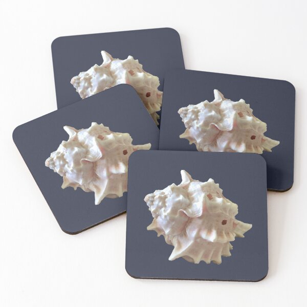 Item preview, Conch designed and sold by LCRobertsonArt.