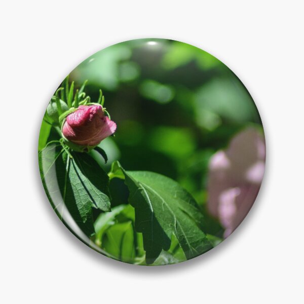 Item preview, Roses Budding designed and sold by SRosuphotos.