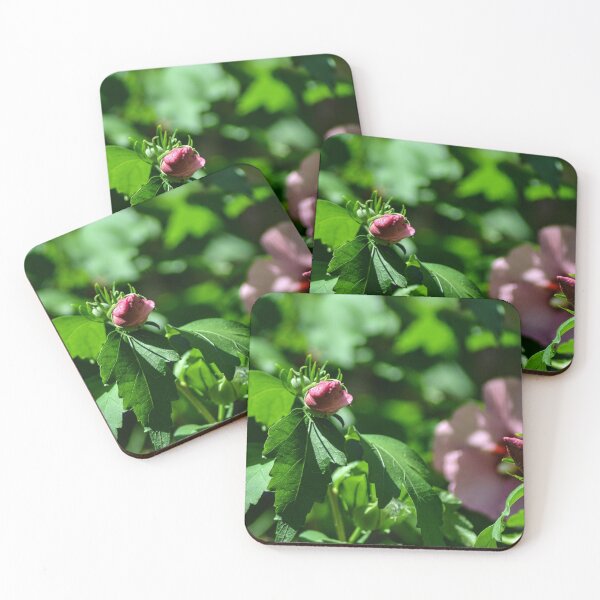 Item preview, Roses Budding designed and sold by SRosuphotos.