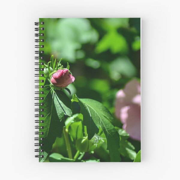 Item preview, Roses Budding designed and sold by SRosuphotos.