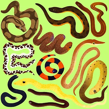 Artwork thumbnail, Snakes pattern by JenChibi
