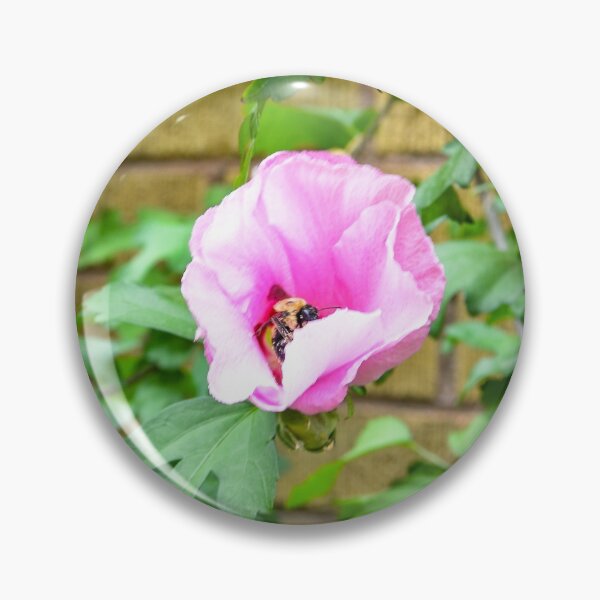 Item preview, Bee and Hyacinth  designed and sold by SRosuphotos.